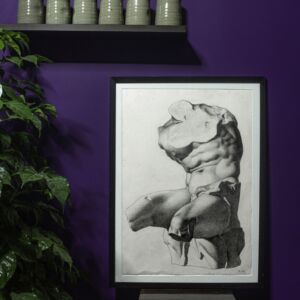 Torso Del Belvedere