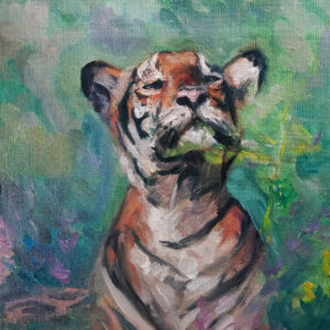 Tigre