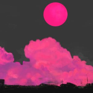 Pink Moon