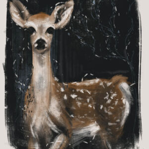 DearDeer