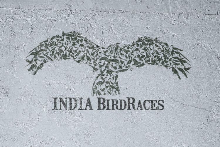 India BirdRaces
